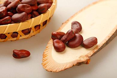 《佣兵哀歌》1月23日登陆Steam 幻想SRPG新游